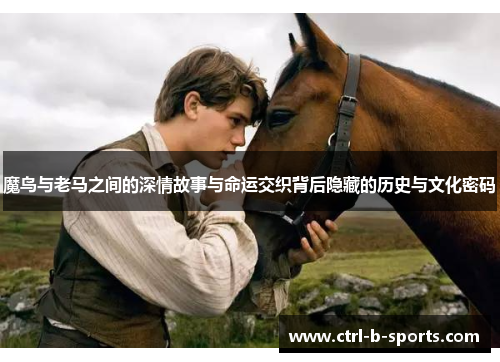 魔鸟与老马之间的深情故事与命运交织背后隐藏的历史与文化密码