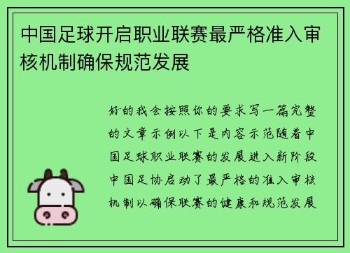 中国足球开启职业联赛最严格准入审核机制确保规范发展 中国足球开启职业联赛最严格准入审核机制确保规范发展